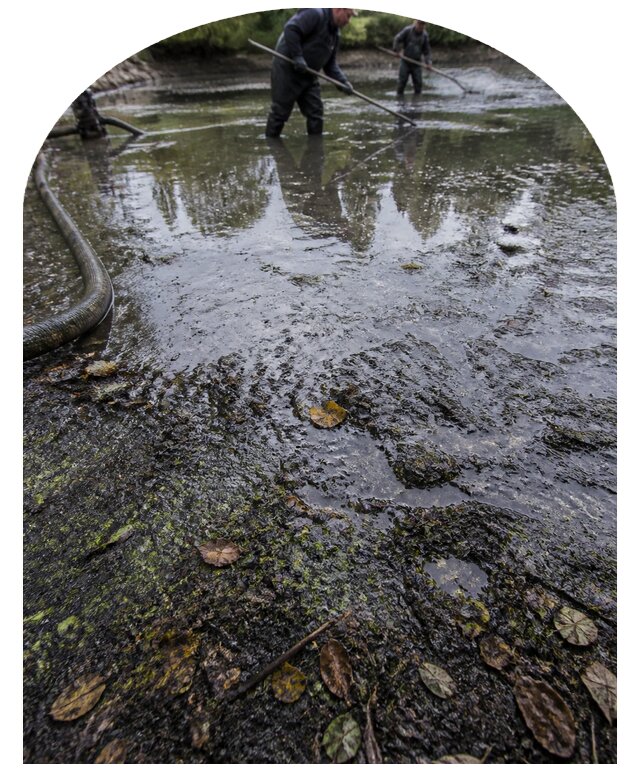 Очистка пруда в Лысьве от ила мусора и водорослей с вывозом